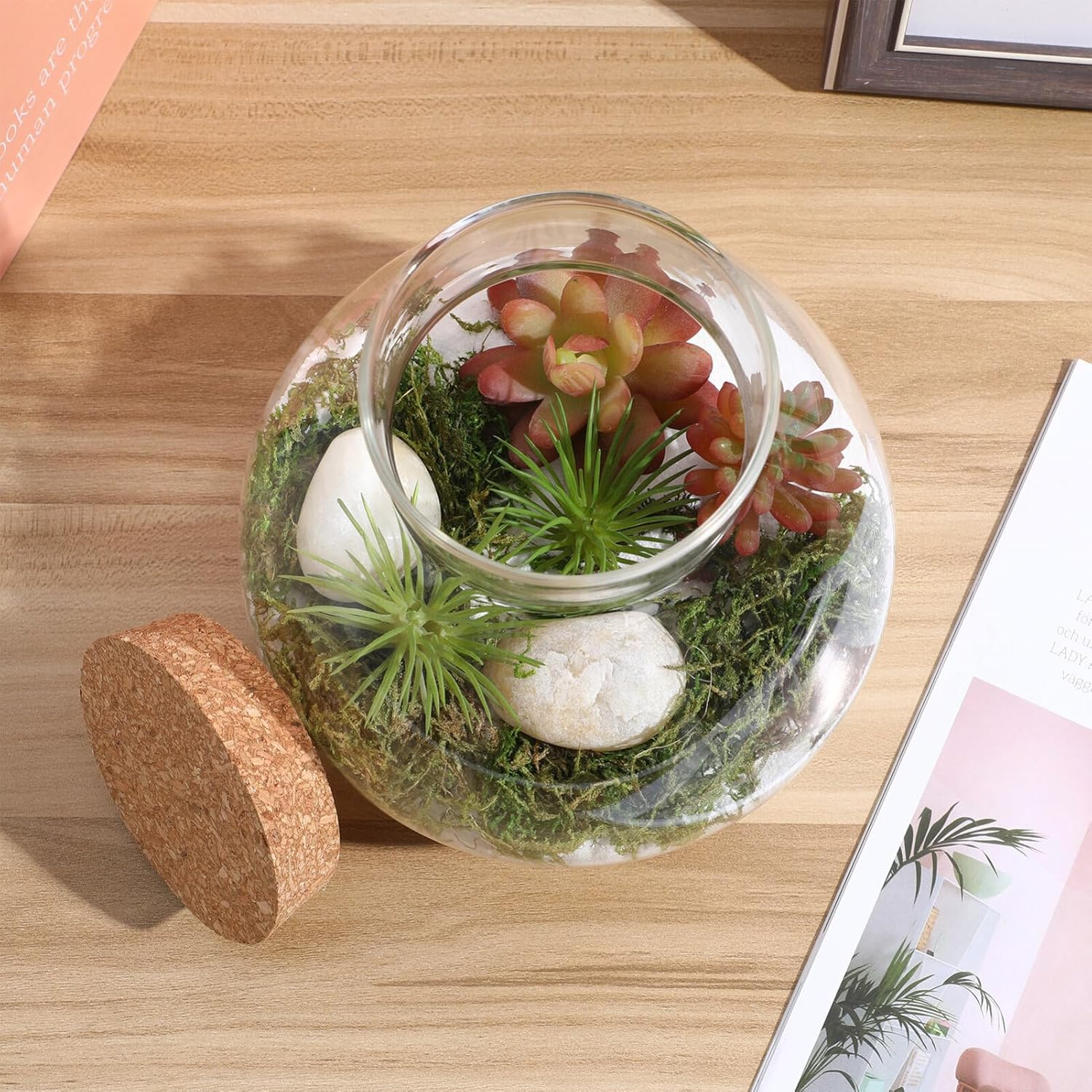 Kisangel Glass Plant Terrarium Jar, Micro Landscape Terrarium with Wood Lid, Tabletop Succulent Planter DIY Planterdecor for Craft image number 2
