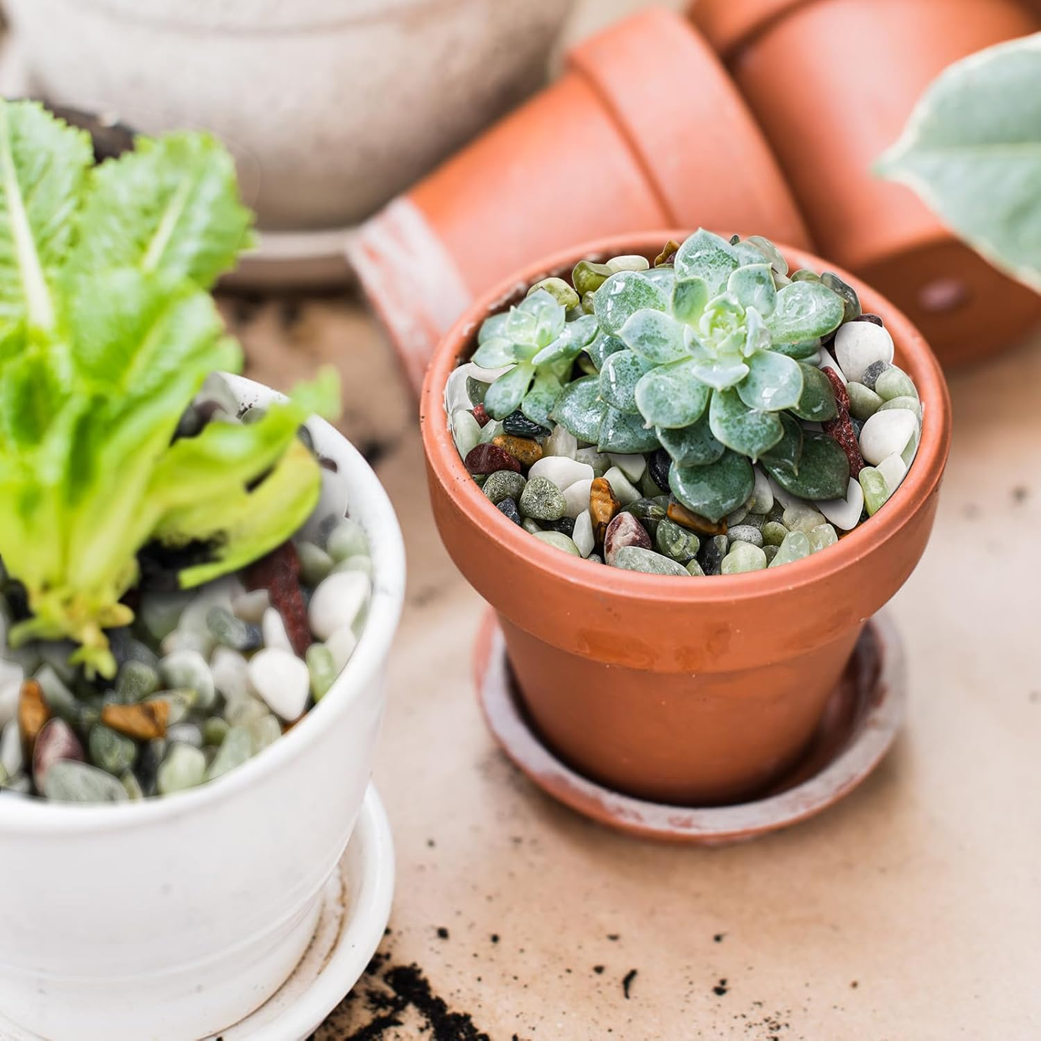 ZENFUN 6 LB Small Jade Pebble, 3/8 Inchdecorative Polished Stones, Mixed Color Rock Gravel for Plant, Aquarium image number 5