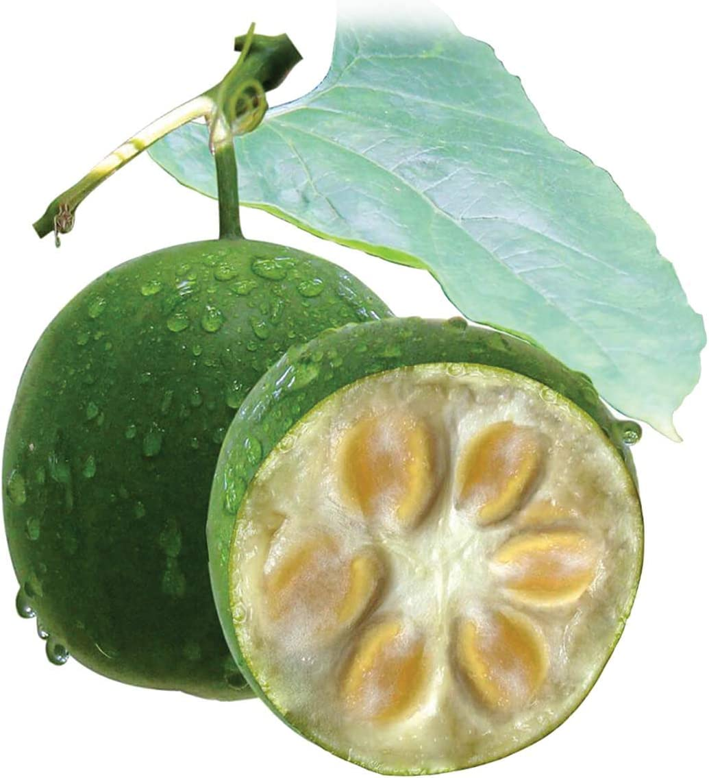 Lakanto Monkfruit Sweetener Golden, 800 G, Golden image number 5