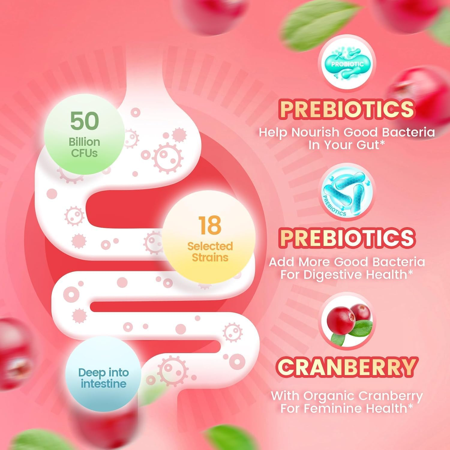 Women Probiotic, Feminine Balance Ph, for Healthy Odor, Yeast Balance and Flora + Vitamin C for Immune Support image number 3