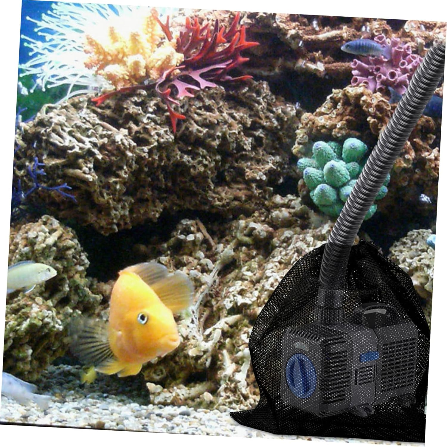 Water Pump Filter Bag Large Mesh Pouch with Drawstring and Buckle Protective Mesh for Outdoor Fountains Ponds Aquariums Easy to Clean and Replace Extends Pump Life Black image number 4