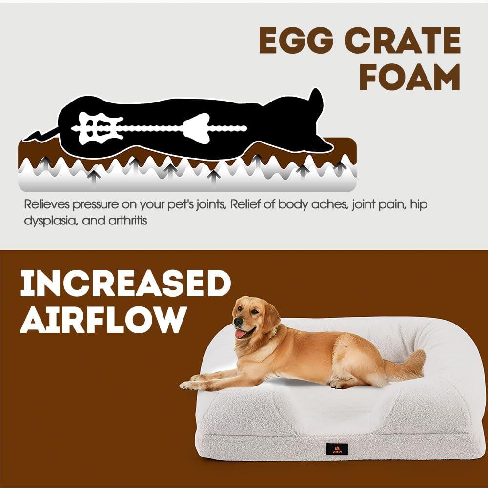 Petzly Orthopedic Memory Foam Dog Bed for Medium Dogs, Removable and Washable Cover, Non-Slip Bottom with Egg-Crate Foam, Medium Pet Couch Bed, White image number 6