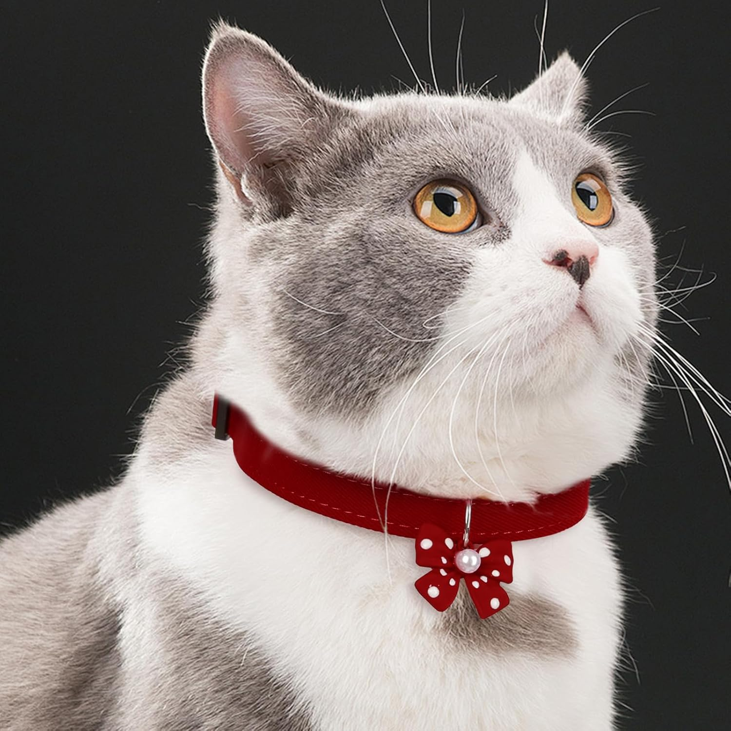 HOWWFALY Dog Collar and Cat Chain Necklace Adjustable Tie Necklace for Small Pets Cats Kitten Pupp (Red, S)