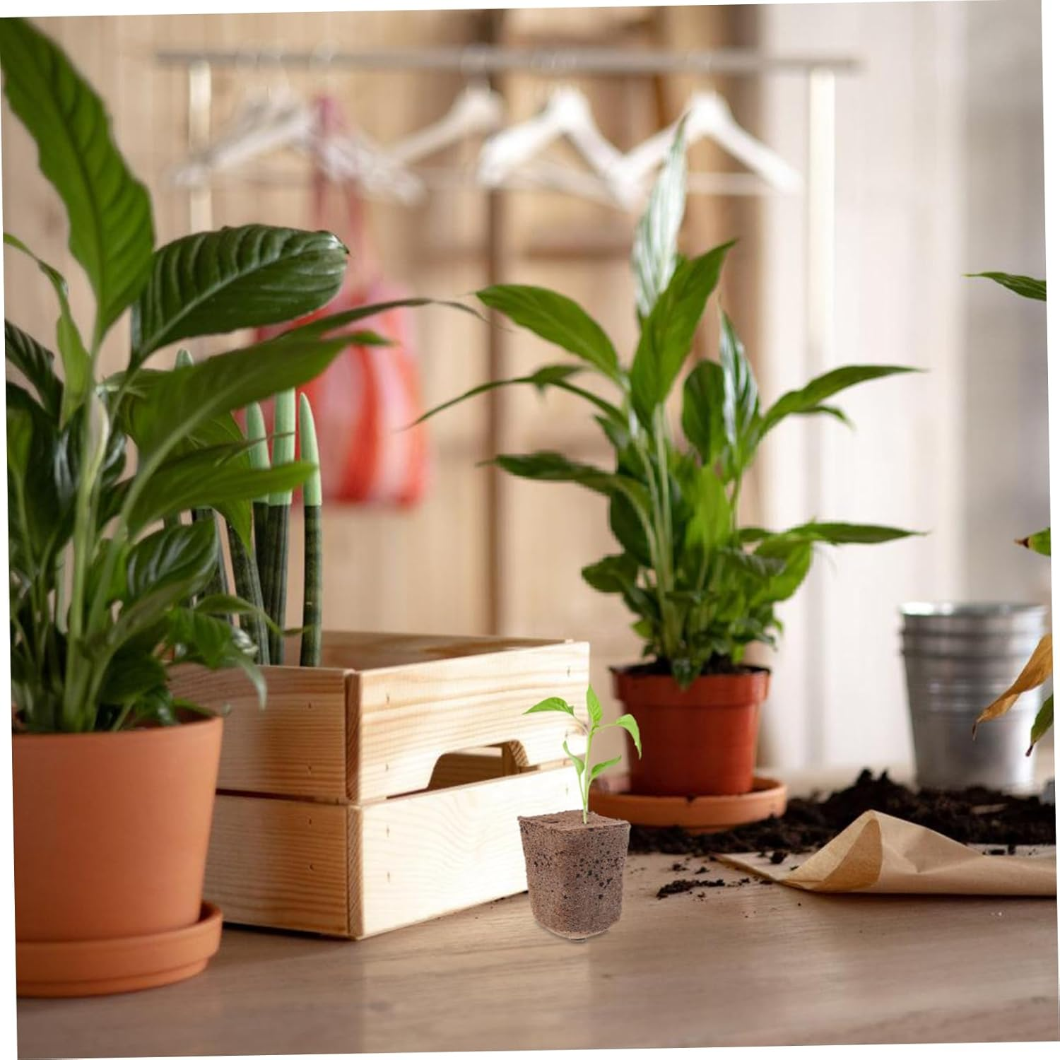 OFFSCH 40Pcs Hydroponic Starter Blocks Grow Cubes Plugs for Home Gardening Blocks Air Permeability Nutrient-Rich Planting Supplies image number 6