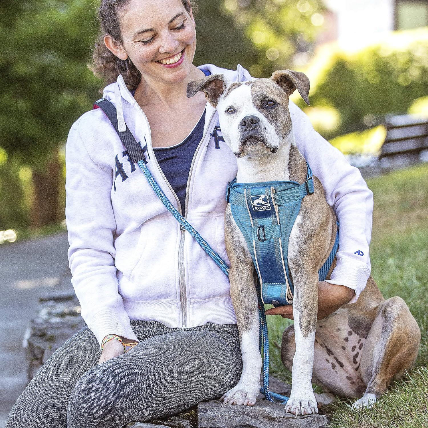Kurgo Tru-Fit Smart Harness, Dog Harness, Pet Walking Harness, Quick Release Buckles, Front D-Ring for No Pull Training, Includes Dog Seat Belt Tether (Blue, Small) image number 1