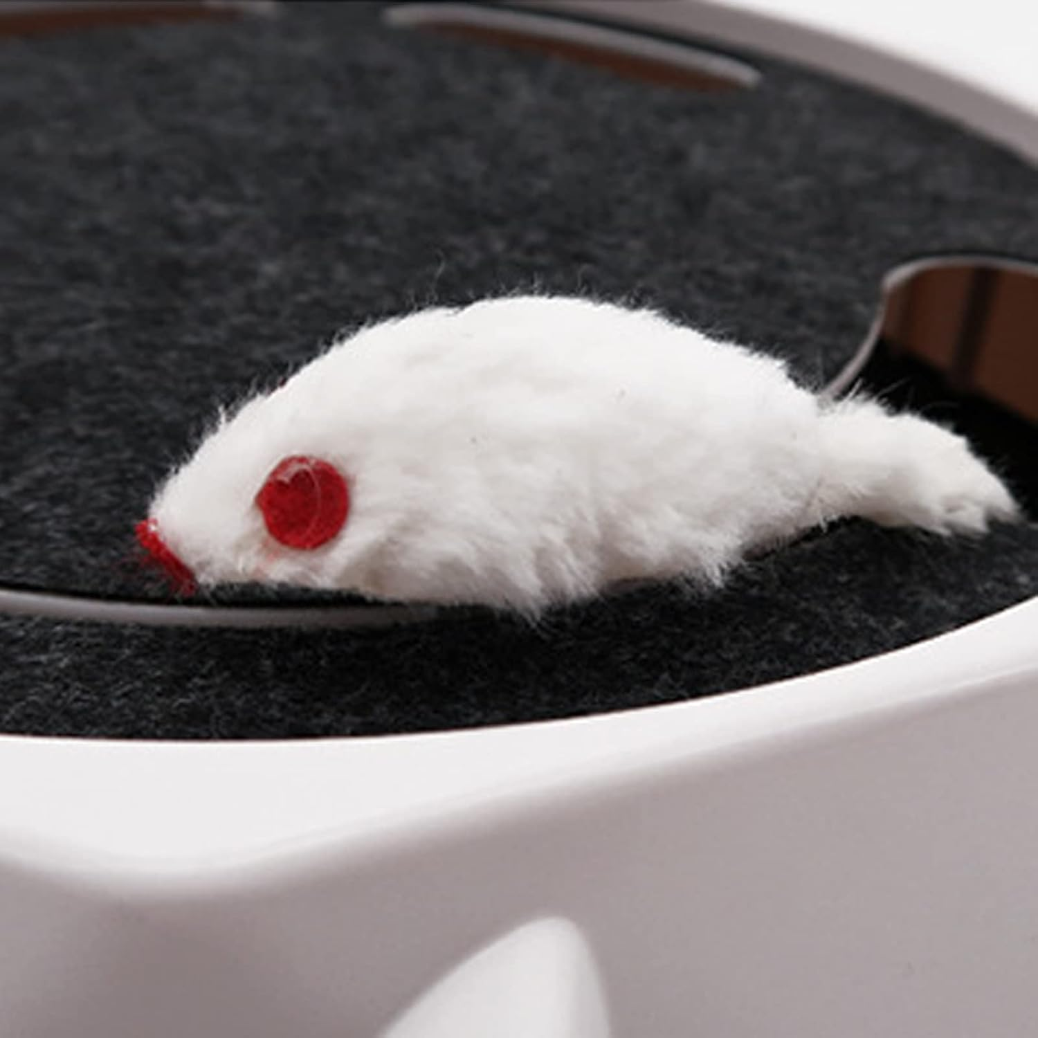 EVTSCAN Interactive Cat Turntable Toy, Supports Two Aadjustable Speeds, Automatic Puzzle Catch Mouse Play Cat Toy, for Pet Supplies image number 4