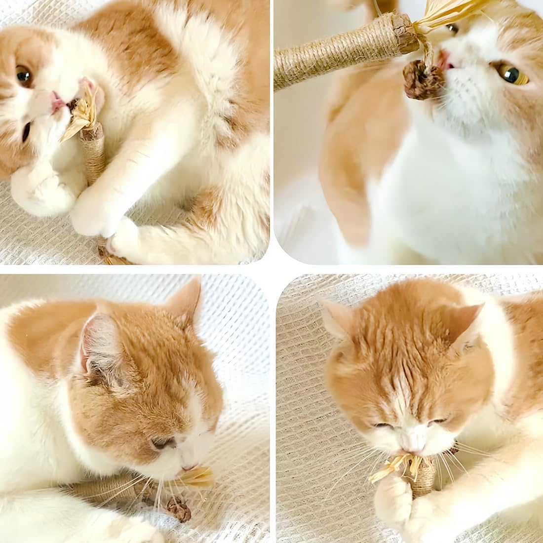 Catnip Sticks, Chew Sticks for Cats, Cats Dental Care Toy, Dental Chew Sticks Help with Tartar & Bad Breath Healthy Hygiene Dental Care (Pack of 6)