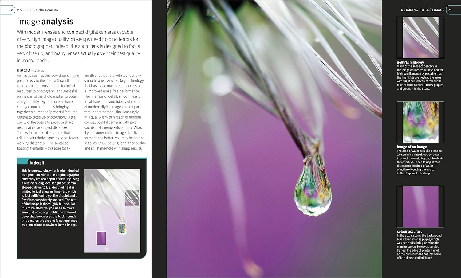 Digital Photography Masterclass: Advanced Techniques for Creating Perfect Pictures image number 4