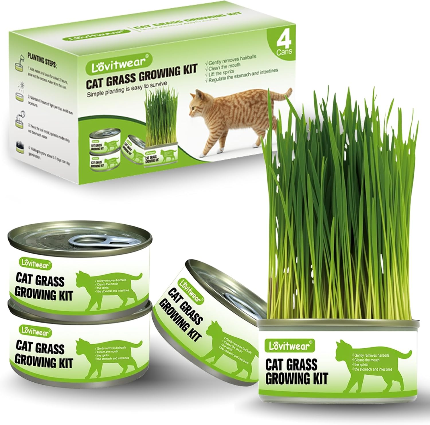 Premium Cat Grass Growing Kit - 4-Pack, Easy Planting for a Natural Treat for Cats and Other Pets image number 5