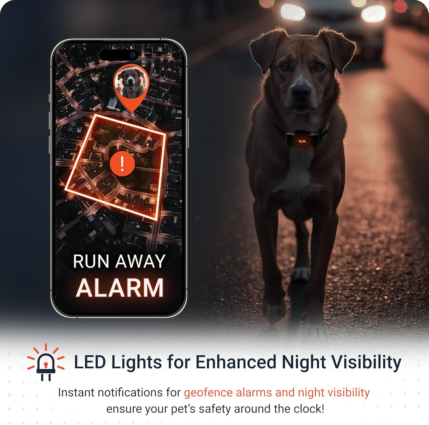 PAJ PET Tracker for Dogs - Worldwide Live Tracking + Health Monitoring + Runaway Alerts - up to 10 Days Battery Saver - Glowing LED Cases - Waterproof (IP67) - Fits Any Collar - Black - Blue image number 2