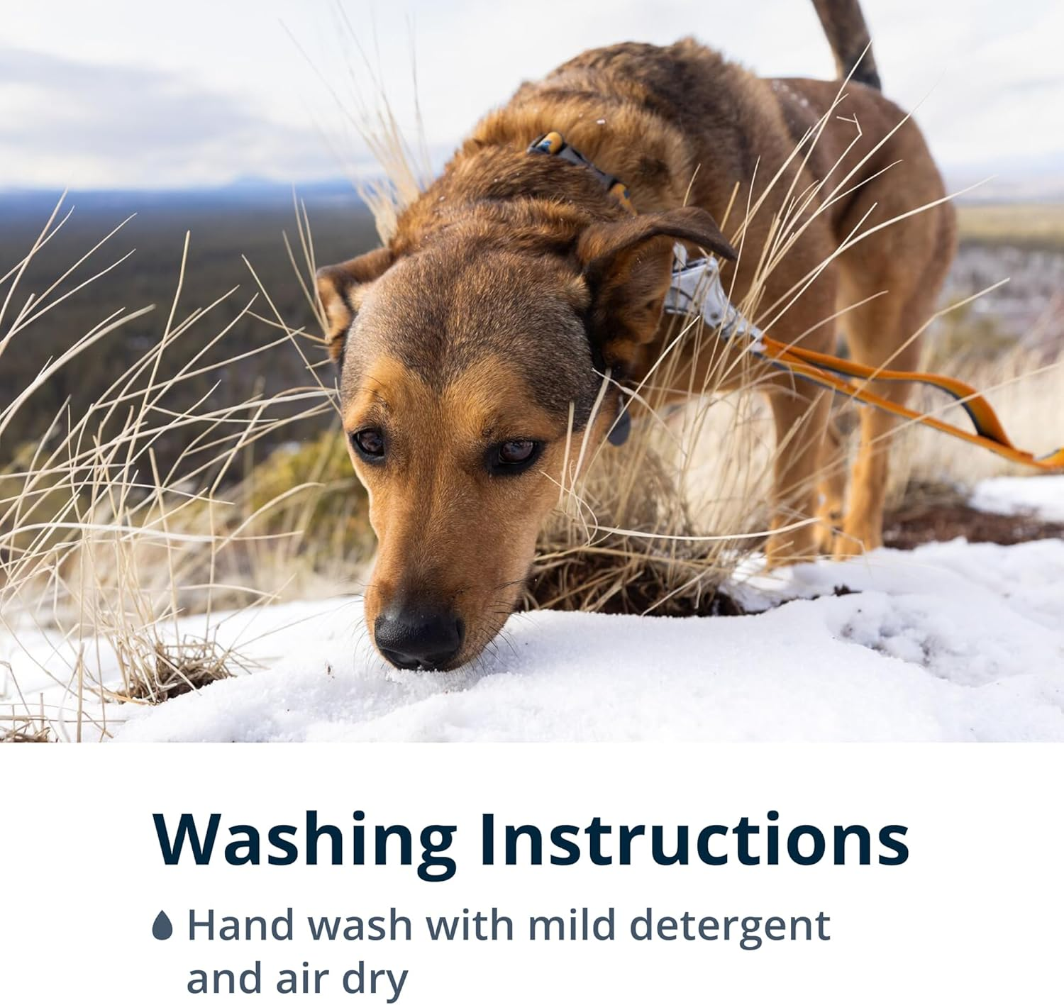 RUFFWEAR Roamer Bungee Dog Lead, Running Dog Leash, Extendable Dog Lead, Hand Held or Waist Worn Lightweight Adjustable Dog Rope, Premium Pet Accessories for Walks, 1.7-2.1M Long, River Rock Green