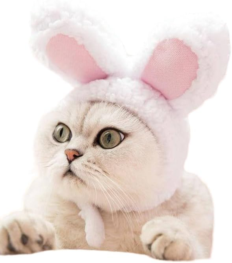 Prymal Comfort Cat/Dog Costume for Halloween, Parties and Pictures (Bunny)