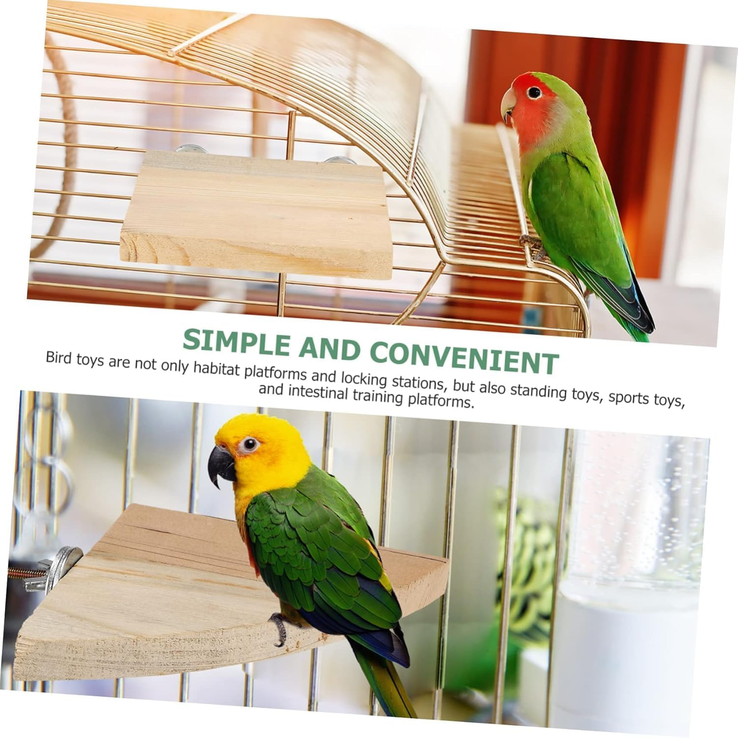 Ksngtixe 2Pcs Natural Wooden Bird Perch Stands, Flat Platform for Small Parrots, Cockatiels & Parakeets - Easy Install Cage Accessories for Playtime, Chewing Fun & Climbing image number 3