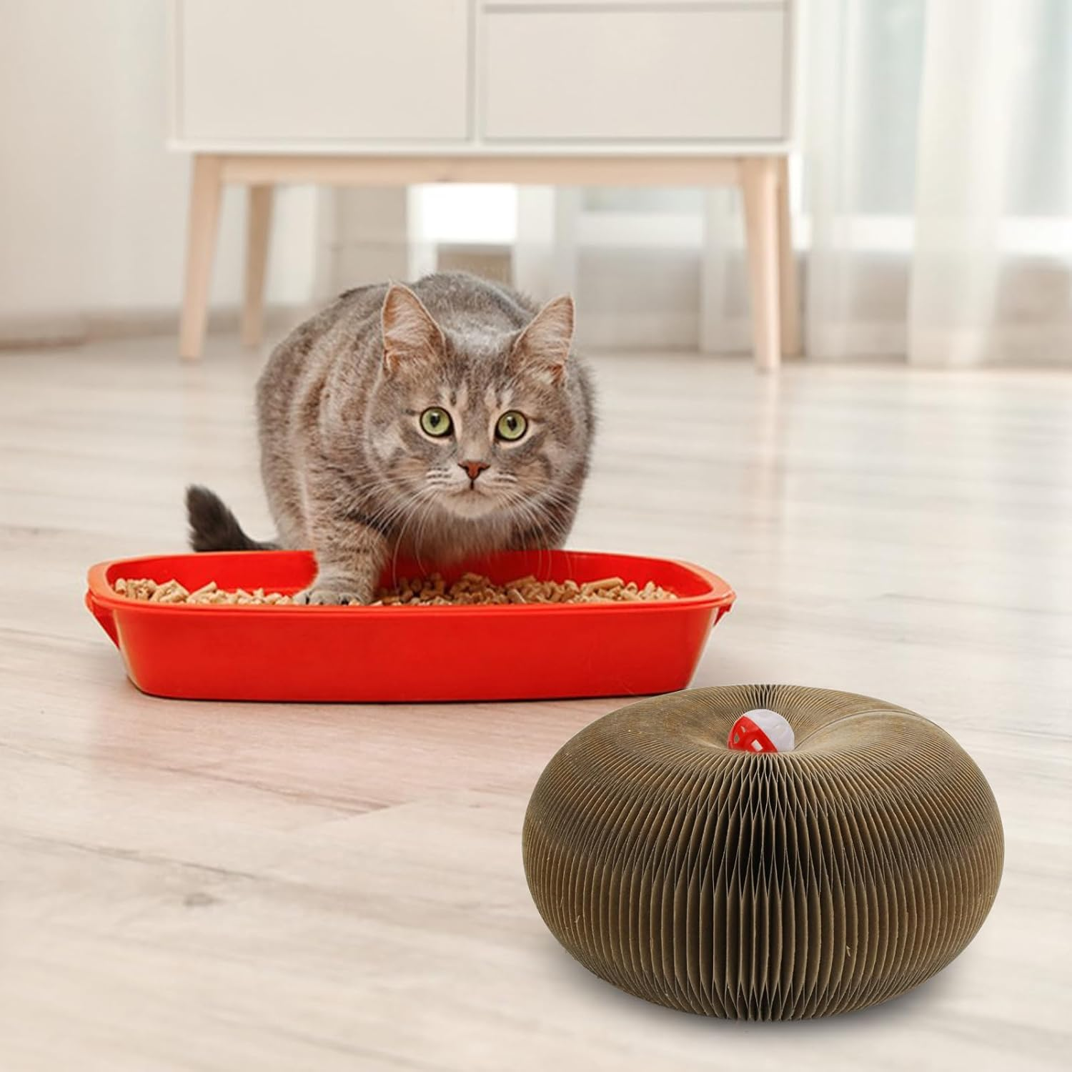 Andiker Magic Organ Cat Scratching Board, Corrugated Cardboard Cat Scratch with Ball for Playing Scratching Paws, Foldable Sanding Cat Toy for Indoor Cats for Mental & Physical Exercise (Type 1) image number 4