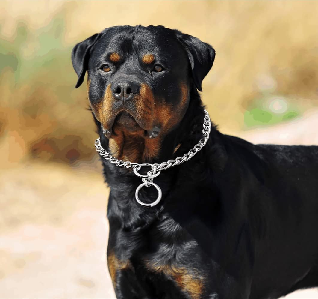 Freezx Dog Choke Collar Slip P Chain - Heavy Titan Training Collars - Adjustable Stainless Steel Chain Covered with Galvanic Plating - for Small Medium Large Dogs