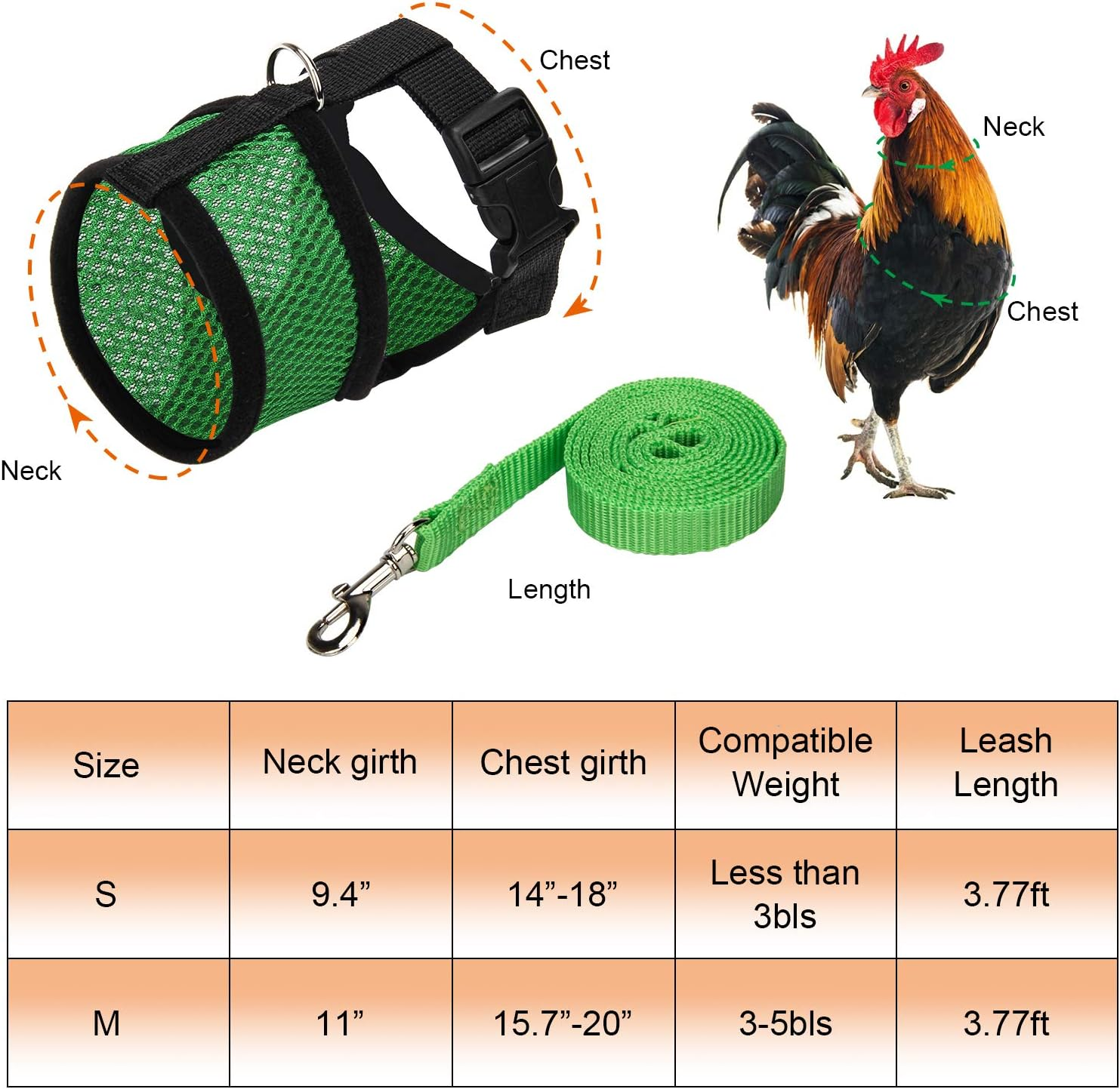 Chicken Harness with Leash, Adjustable Chicken Leash for Hens, Duck, Puppy (Green, M) - Green image number 3