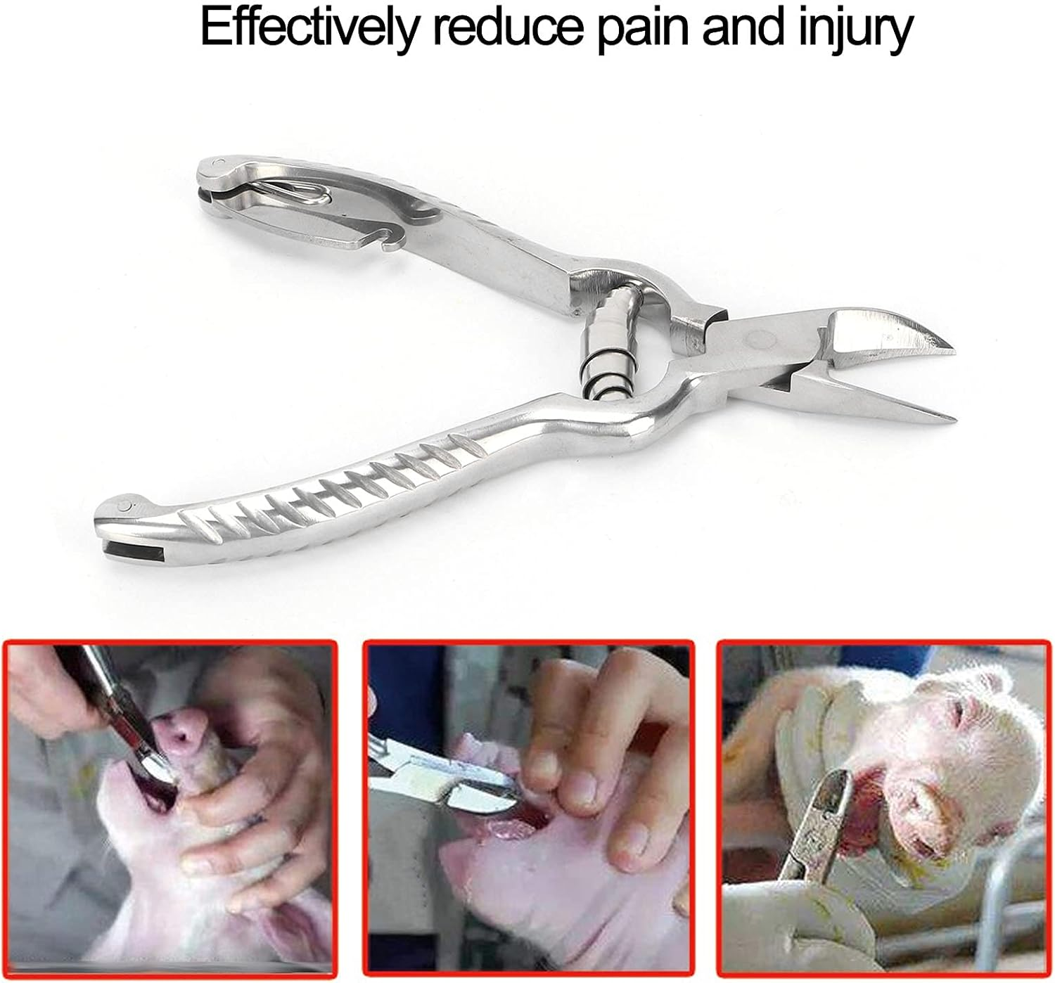 Piglet Teeth Cutter, 14Cm/ 5.5In Premium Stainless Steel Pig Tooth Nipper Teeth Clipper for Home, Farm