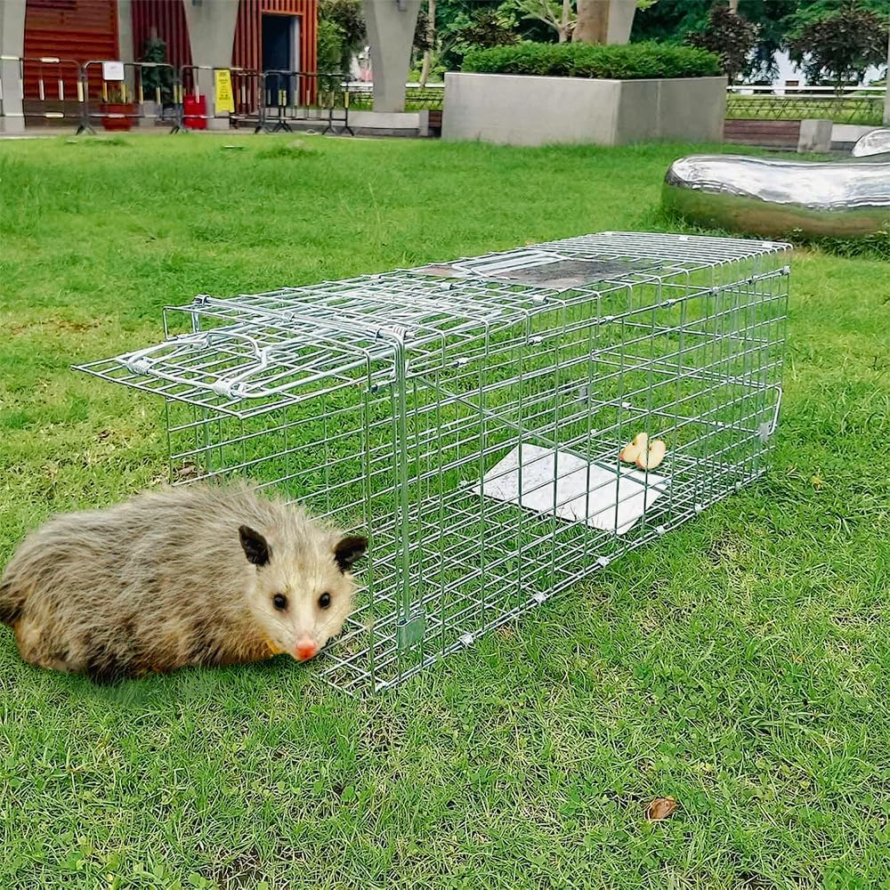 Possum Trap 66 X 23 X 26Cm Humane Large Animal Live Traps for Cats, Squirrels, Skunks, Groundhogs, Rabbits, Possums, Catch and Release Design Heavy Duty Folding Cage for Possum Stray Cat Fox Opossum image number 4
