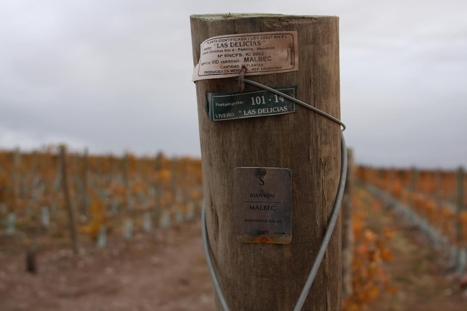 2016 Aluvi&oacute;n Vineyards Malbec Wine "Forjado" from the Uco Valley, Mendoza, Argentina image number 5