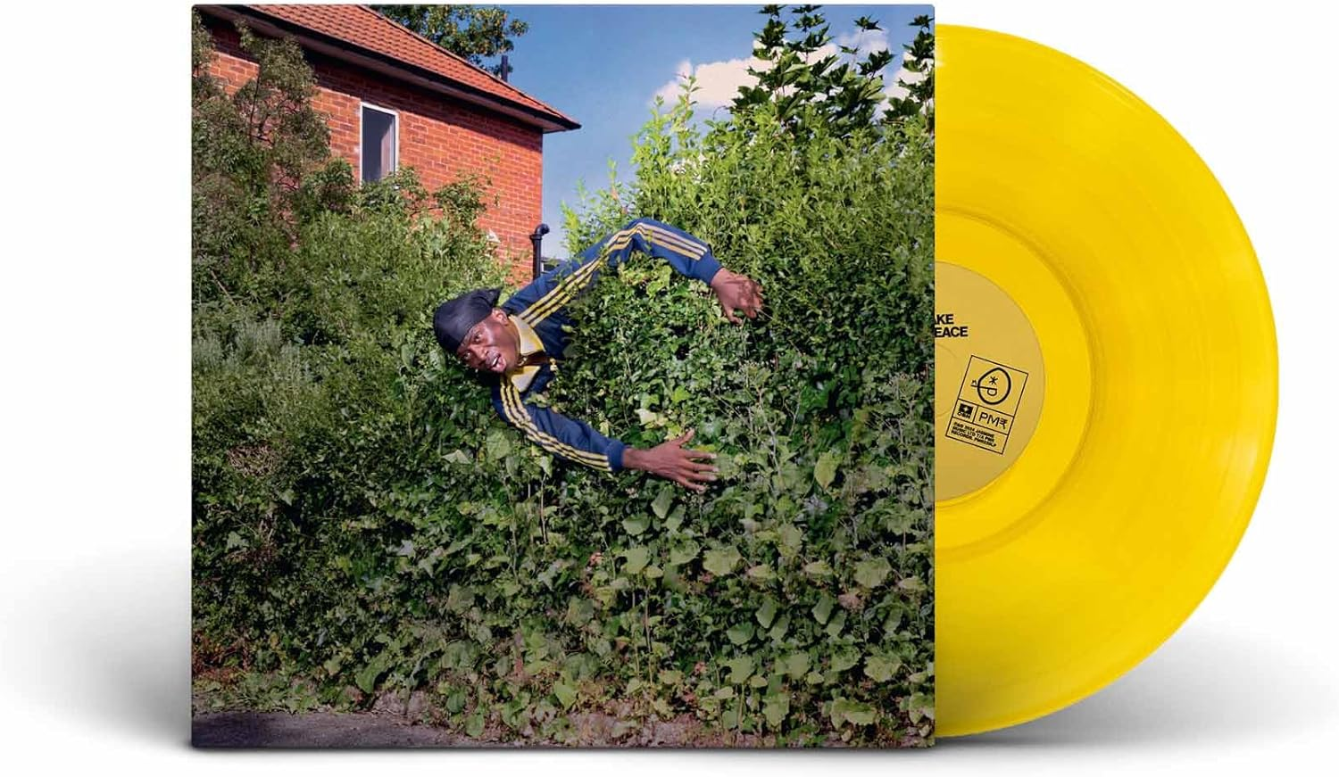 HOW to MAKE a MASTER PEACE image number 1