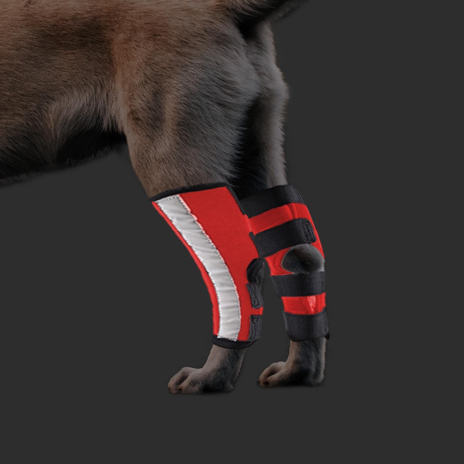 NACOCO Dog Leg Brace- Pair of Dog Canine Leg Wrap with Safety Reflective Straps Protects Wounds Brace Heals and Prevents Injuries and Sprains (Small) image number 4
