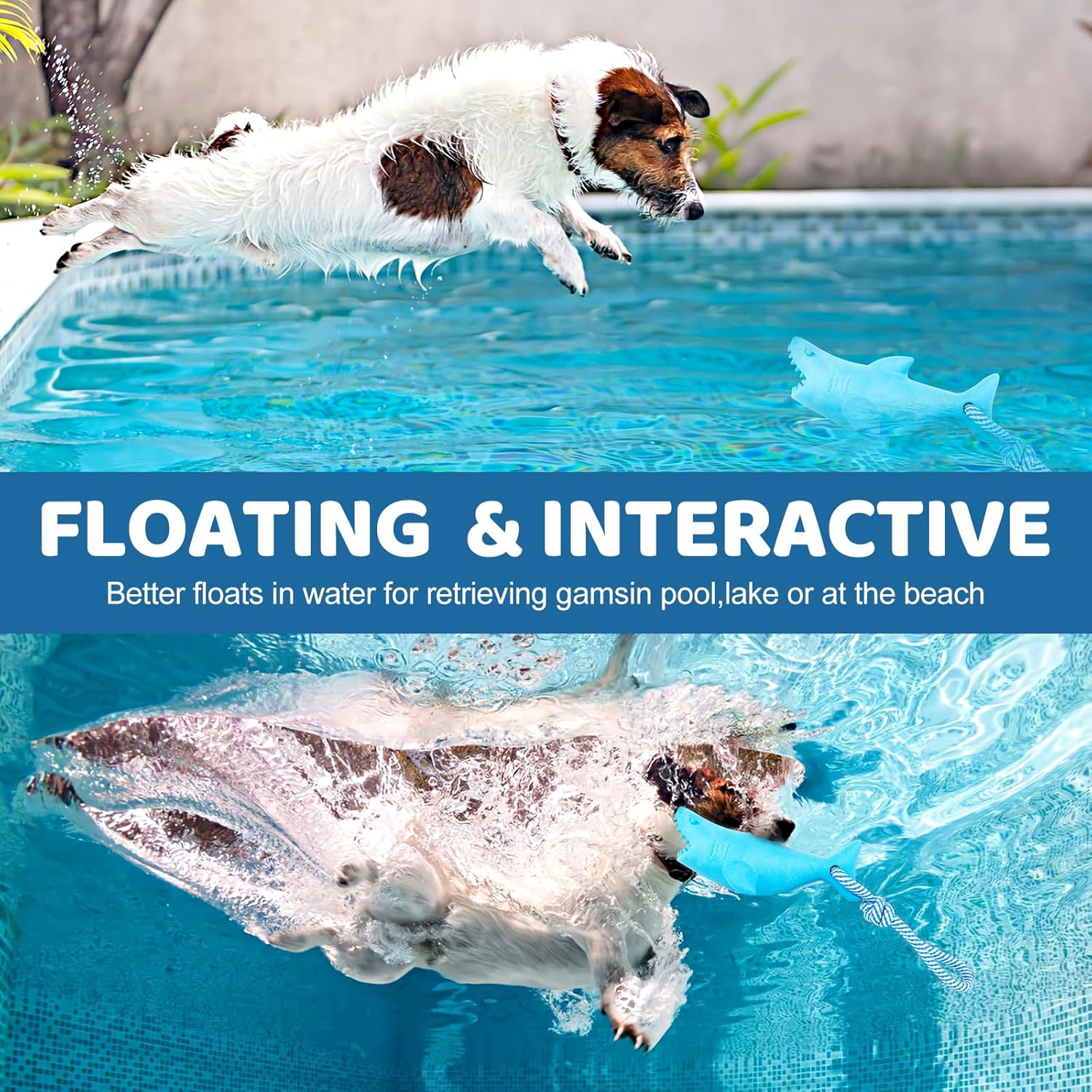 Floating Toy for Aggressive Chewers - Interactive Fetch & Play Dog Beach Toy Set: Shark + Dino image number 5