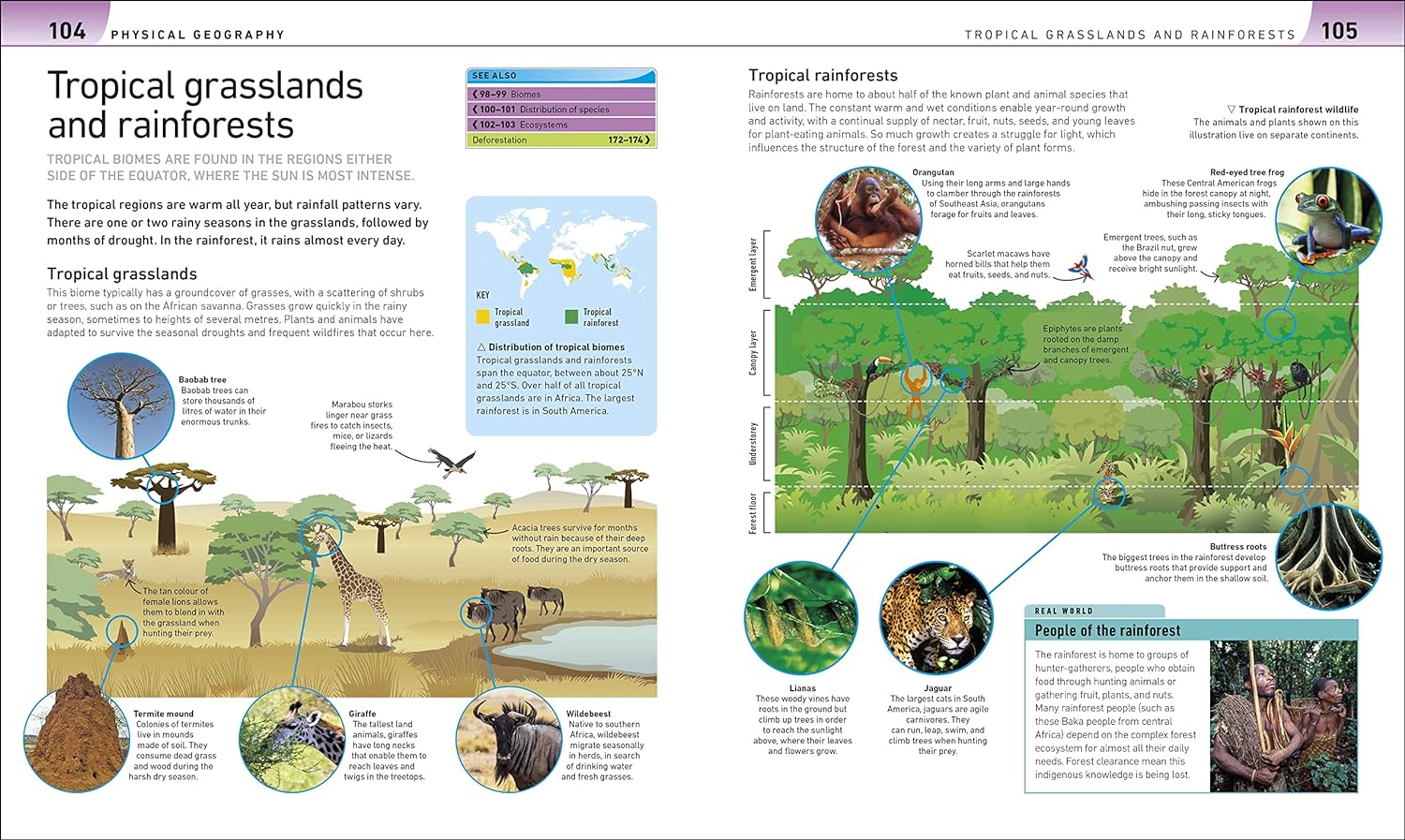 Help Your Kids with Geography, Ages 10-16 (Key Stages 3 & 4): a Unique Step-By-Step Visual Guide image number 2