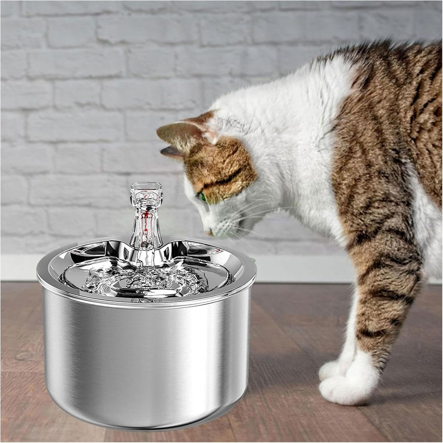 Dog Water Bowl 2L/67OZ Automati Pet Water Fountain Stainless Steel inside Ultra-Quiet Pump Cat Water Fountain for Small/Large Cats and Dogs Pet Bowl image number 4