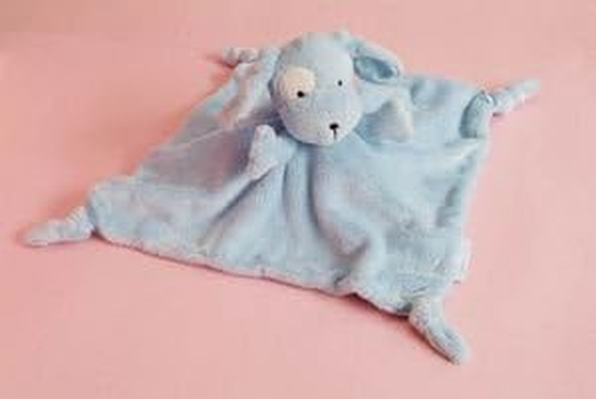 Save Our Sleep Tizzie Hall Dizzie Dog Baby Comforter 12"/30Cm Blue
