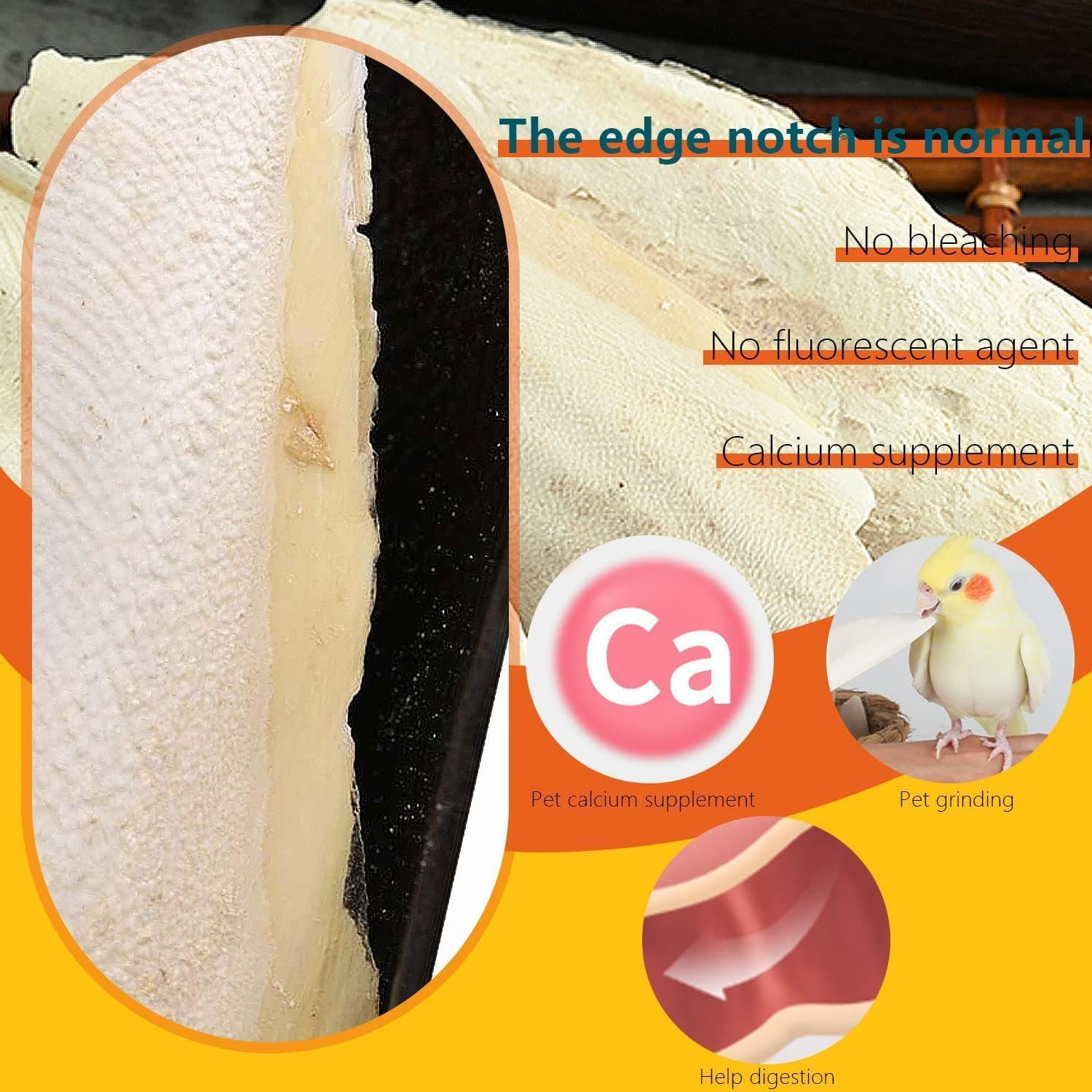 Powerful 10PCS Cuttlebone 12-13Cm Cuttlefish Bone Natural Cuttlefish for Birds Parrots Reptiles Tortoise Snails image number 5