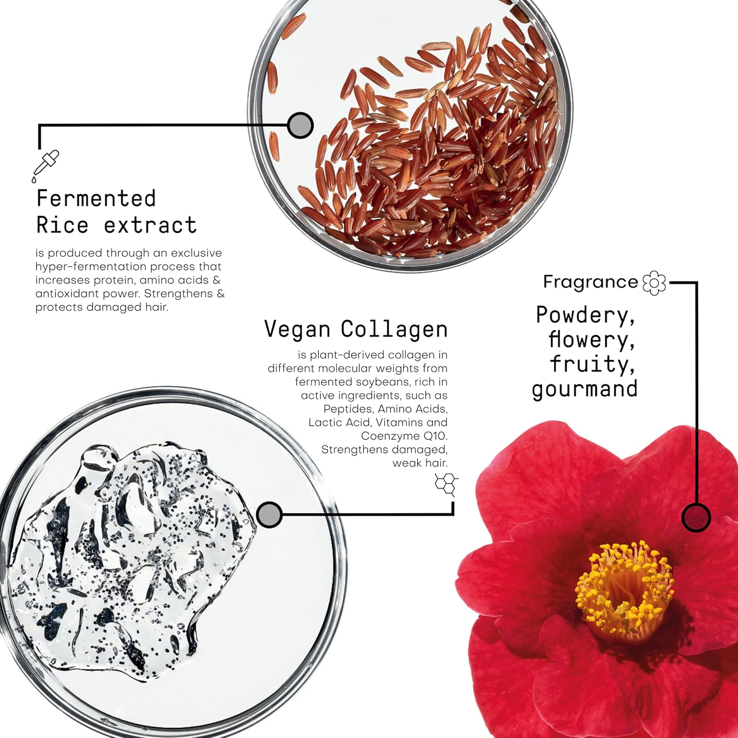 Framesi Conditioner Framesi Morphosis Re-Structure Shampoo image number 4