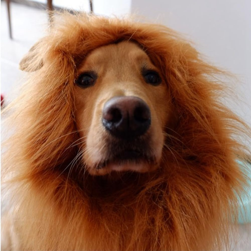 Domoi for Dog Costumes Realistic Lion Wig for Medium to Large Dog+Ear Pet Supplies Cute 1 Piece B image number 3