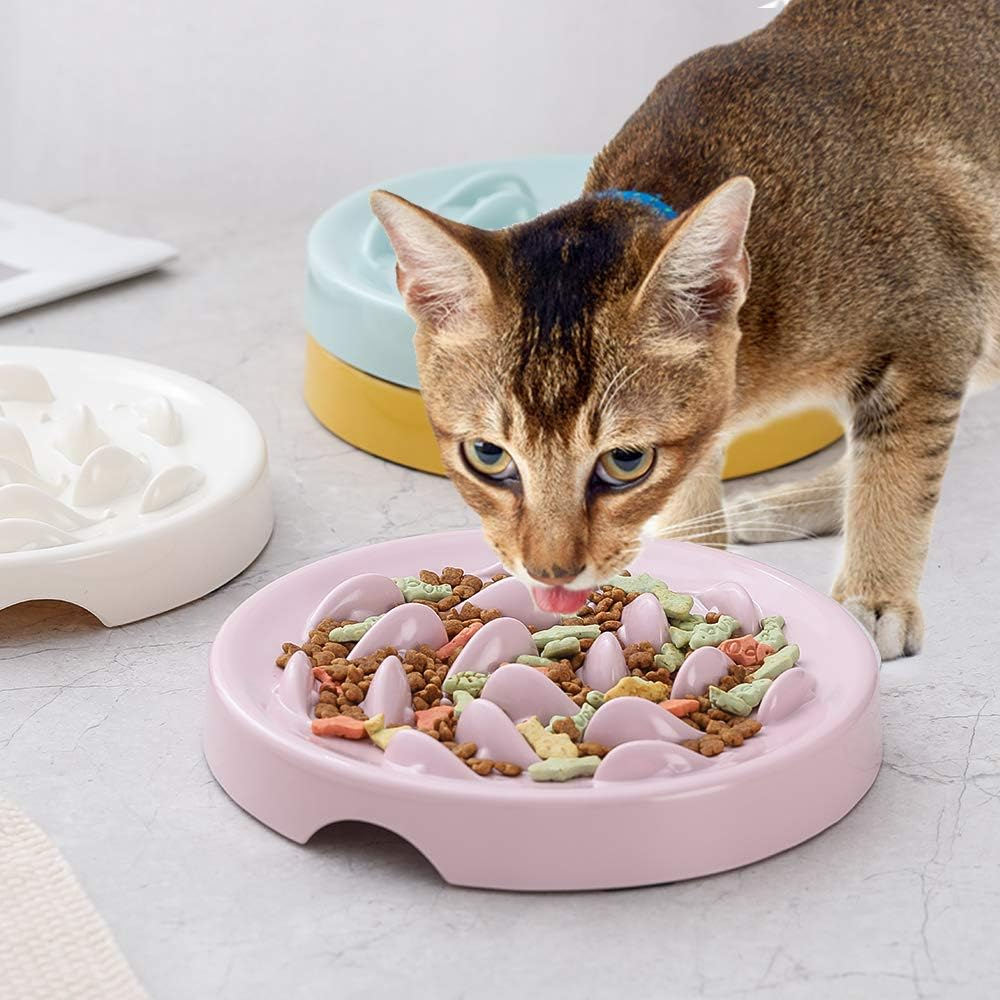 Slow Feeder Cat Bowl,Melamine Fun Interactive Feeder Bloat Stop Puzzle Cat Bowl Preventing Feeder anti Gulping Healthy Eating Diet Pet Dog Slow Feeding Bowls against Bloat, Indigestion and Obesity image number 2