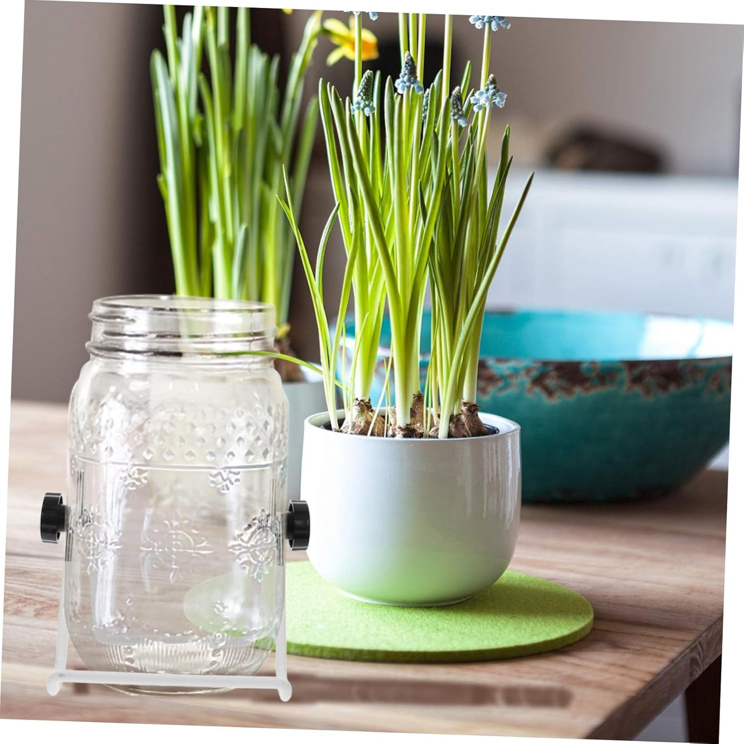 GOOHOCHY 2Pcs Stainless Steel Sprouting Jar Stand Foldable Jar Holder Portable Desktop Sprouting Frame Rack for Seed Germination and Home Gardening image number 6