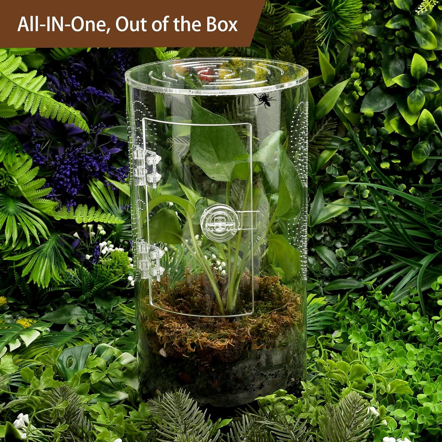 Jumping Spider Enclosure, 11.5&rdquo;*6&rdquo;*6&rdquo;, Air Hole 3/64" Micro Habitat Terrariums, Arboreal Reptile Tank with Front Opening Door,Tarantula Enclosure, Plant Greenhouse image number 5