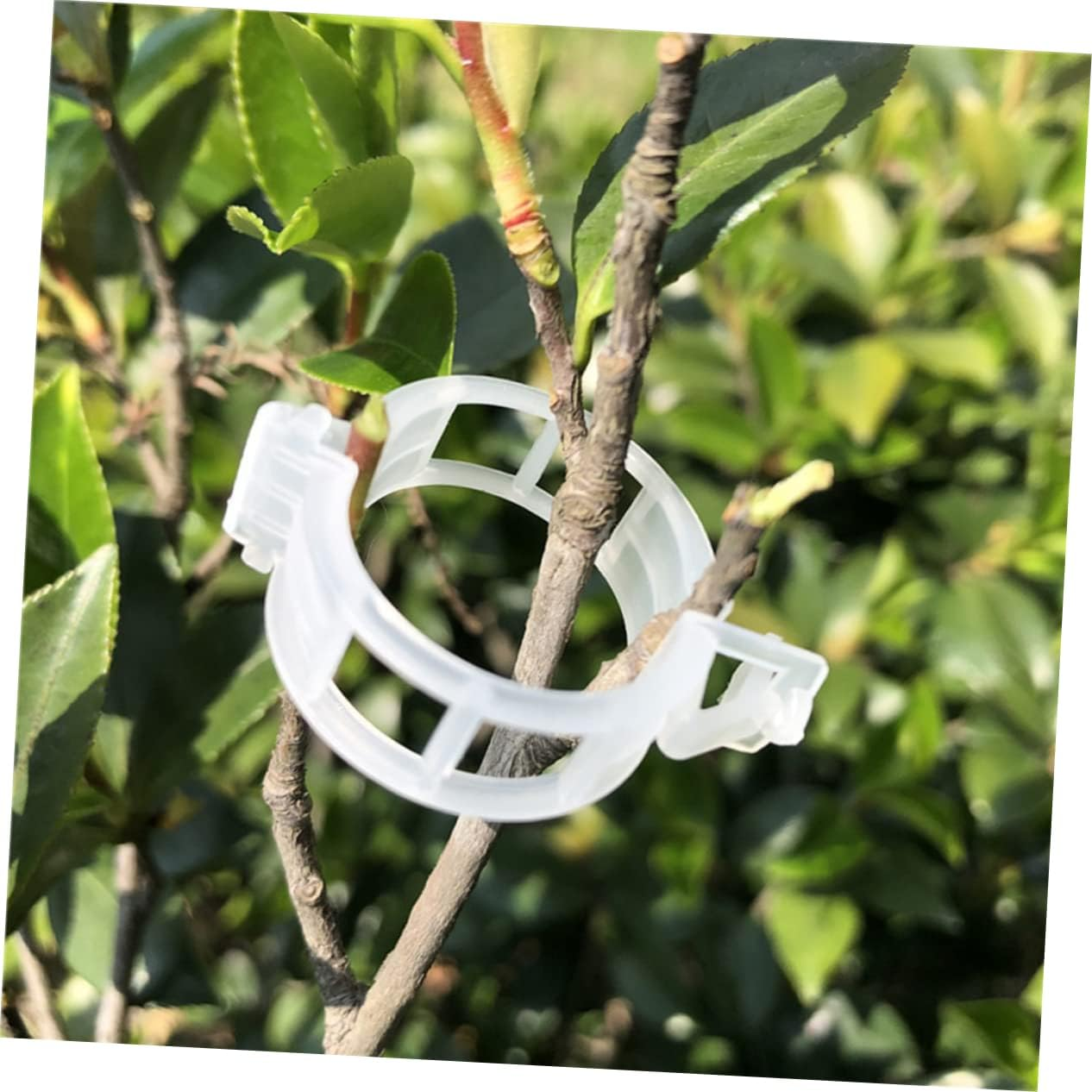 Levemolo 300Pcs Gardening Clips Plant Holder Clips Reusable for Tomatoes Cucumbers image number 4