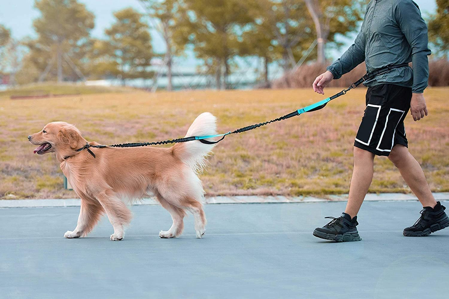 Hands Free Dog Lead for Dog Walking Running Jogging, Retractable, Dual Handle, Shock Absorber, Soft Foam Padding, Adjustable Wasit Leash image number 6