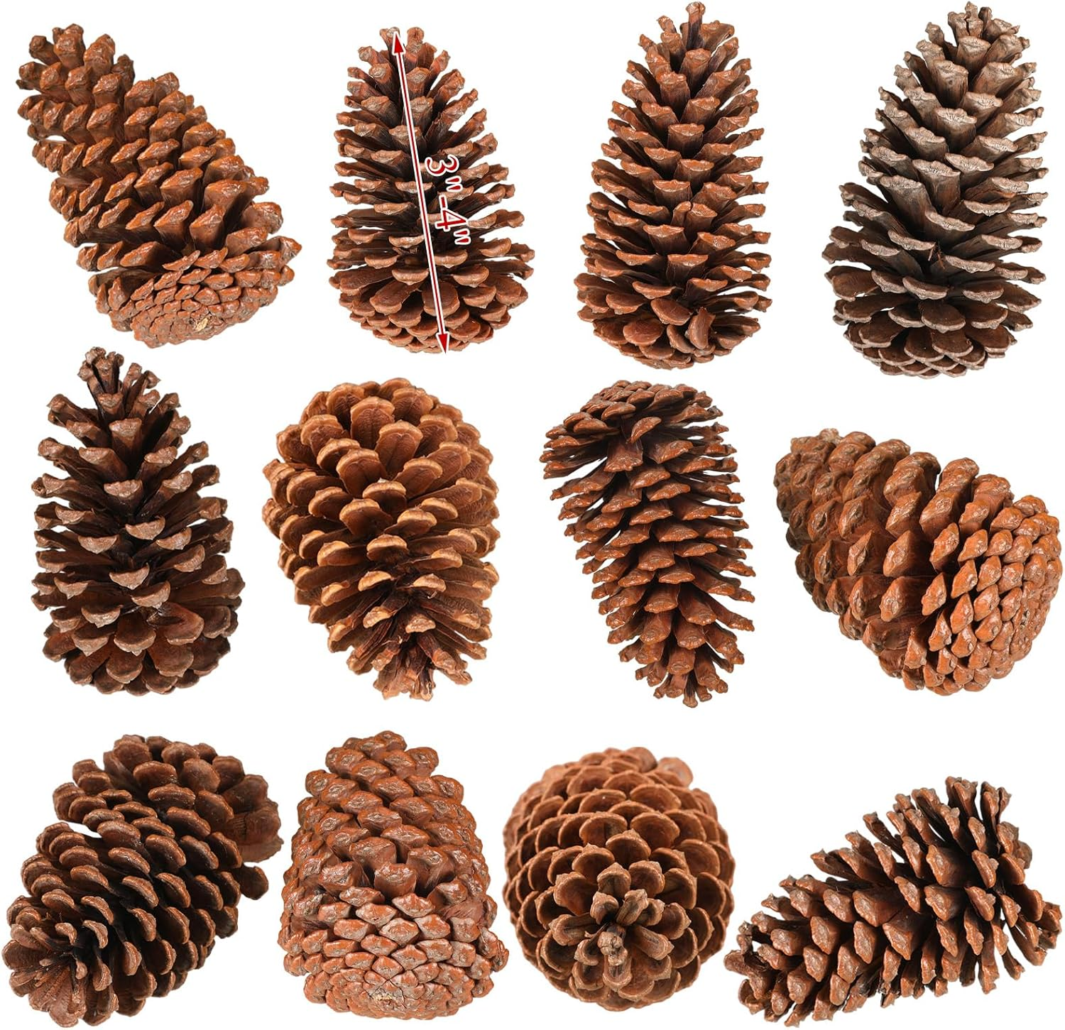 Huwena 12 Pcs Pinecones Large Natural Unscented Pine Cones Bulk Rustic Christmas Tree Ornaments Decorative No Chemicals for Crafts DIY Wreath Home Wedding Decoration (3-4 Inches) image number 4