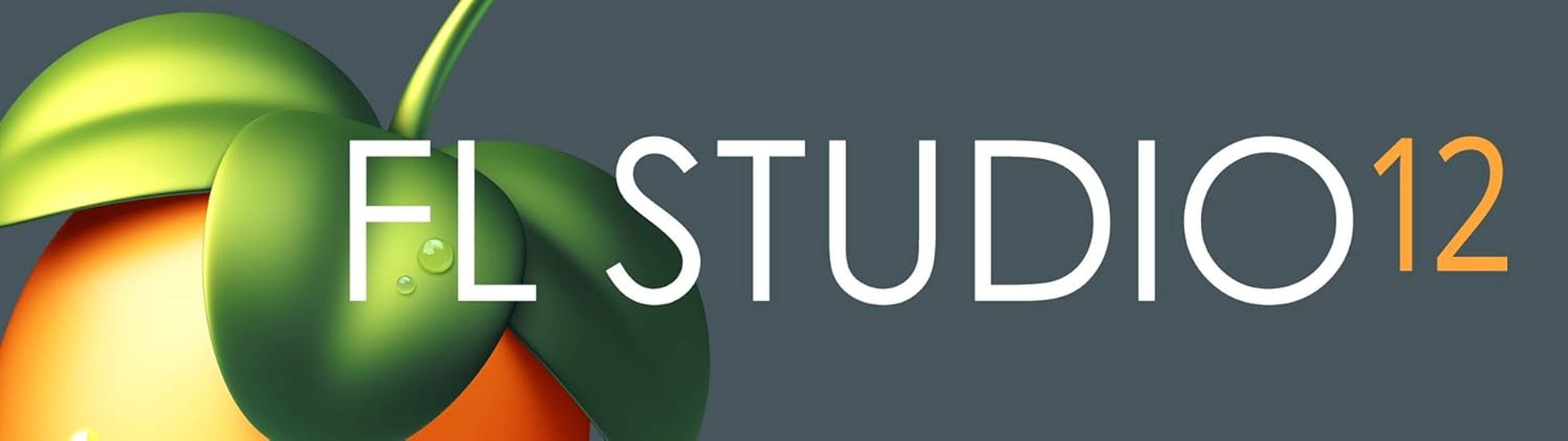 Image Line FL Studio Fruity Edition image number 6