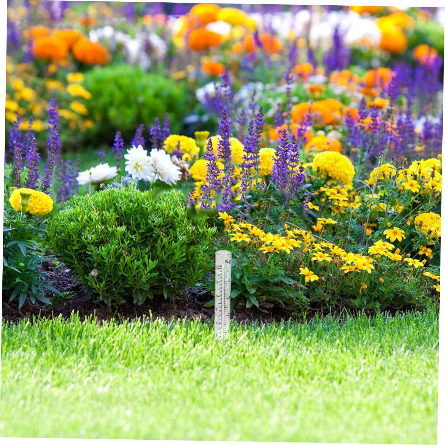 CLISPEED 2Pcs Grass Gauge Garden Water Measuring Tool Large Rain Gauge Outdoor Decorative Replacement Tube Transparent