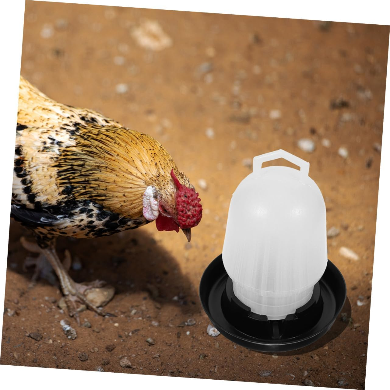 Alasum 2Pcs Automatic Poultry Waterer Chicken Water Dispenser Cups for Chickens Ducks Quail Pigeons Outdoor Use Farm and Home image number 4