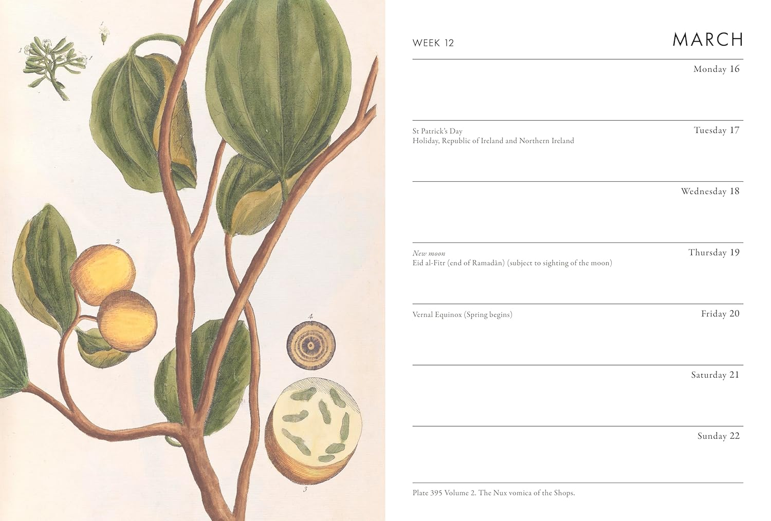 RHS Desk Diary 2026 image number 3