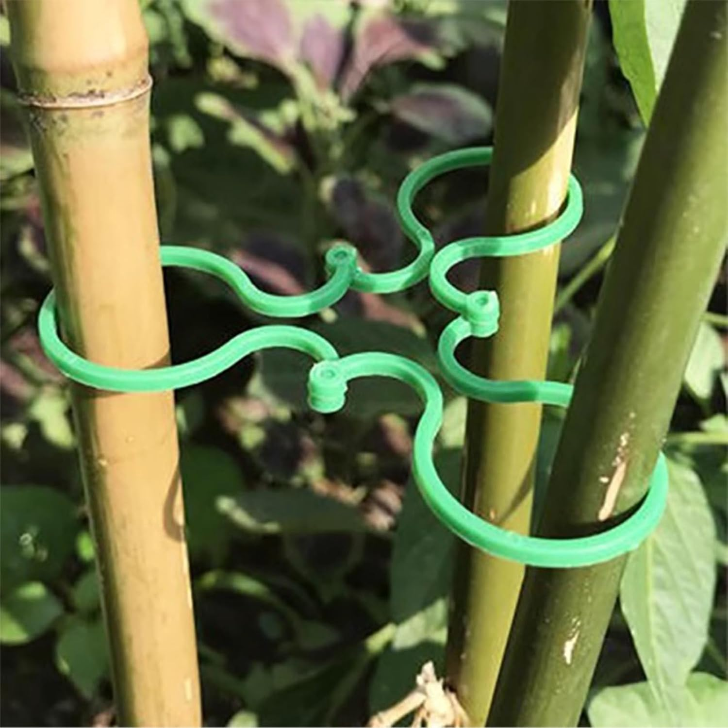 Plant Support Clips - Tomato Clips for Support,Gardening Vine Fixing Tool for Vegetables Gourds Cucumbers Tomatoes image number 3
