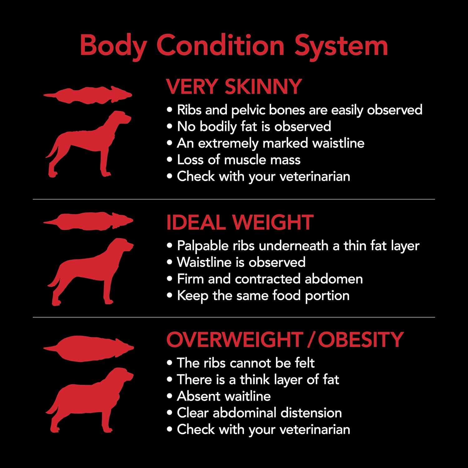 SUPERCOAT SMARTBLEND Adult Dry Dog Food Chicken 18Kg image number 2