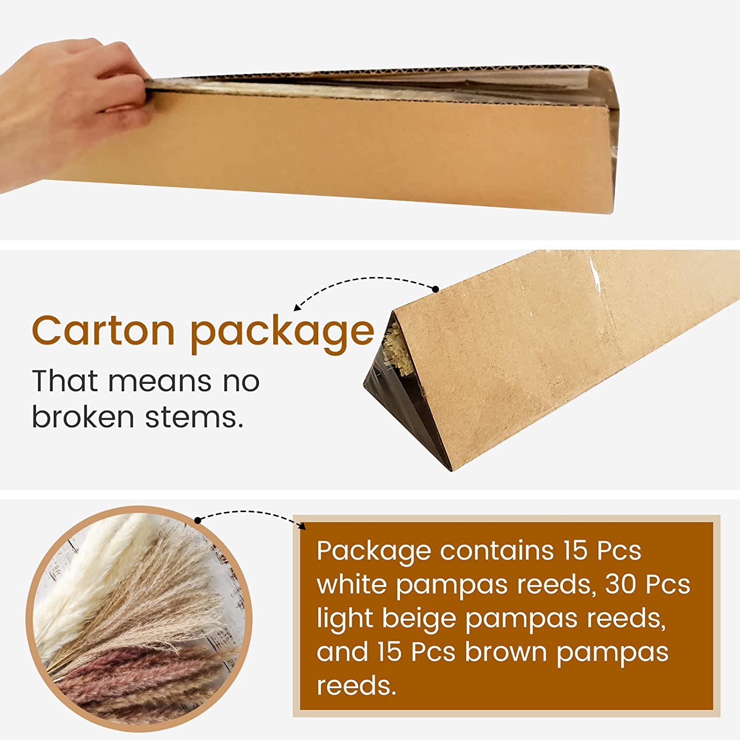 Total 60 Pcs | 15 Pcs White Pampas & 15 Pcs Brown Pampas & 30 Pcs Reed Grass/Natural Dried Pampas Grass for Flower Arrangements Home Decor image number 1