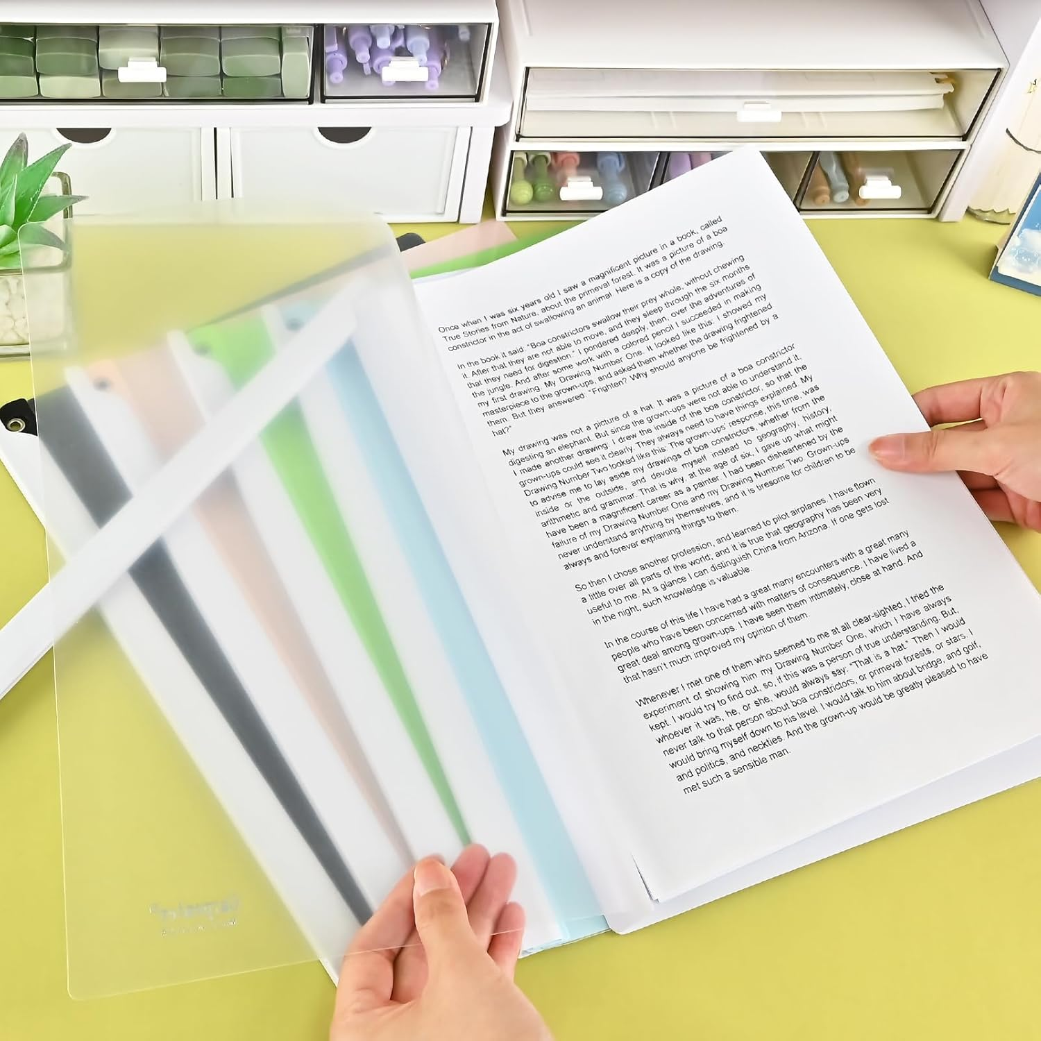 BAYTORY Clear Report Covers with Swing Clip, Plastic Folders for A4 and Letter Size Paper, 5 Pack Clear Front Presentation Binder for School Business, 40 Sheet Capacity/Pack (Morandi) - Morandi image number 2