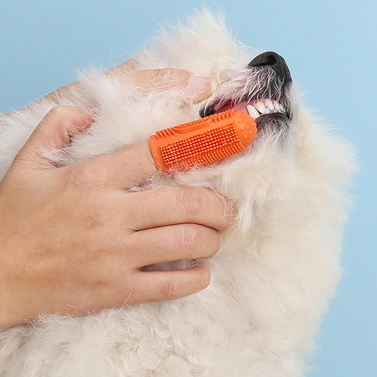Pack of 10 Dog Toothbrush Dog Finger Toothbrush 360&ordm; Surround Toothbrush Cleaning Toothbrush for Dogs Cats Silicone Pets Finger Teeth Brush for Dental Care Oral Hygiene Orange image number 1
