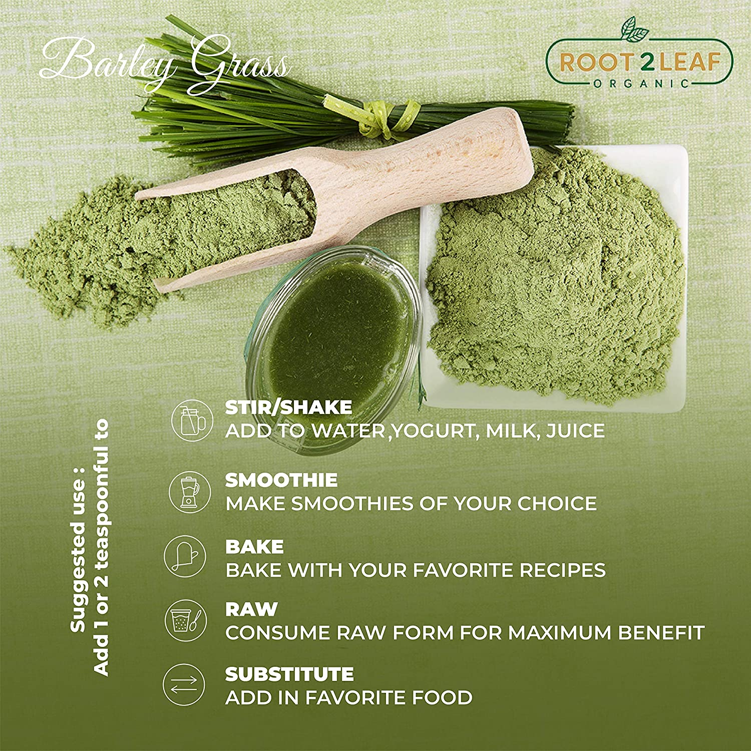 Rootleaf Organic Barley Grass Powder Rich in Vitamins - Pack of 2 (100 Gms) image number 1