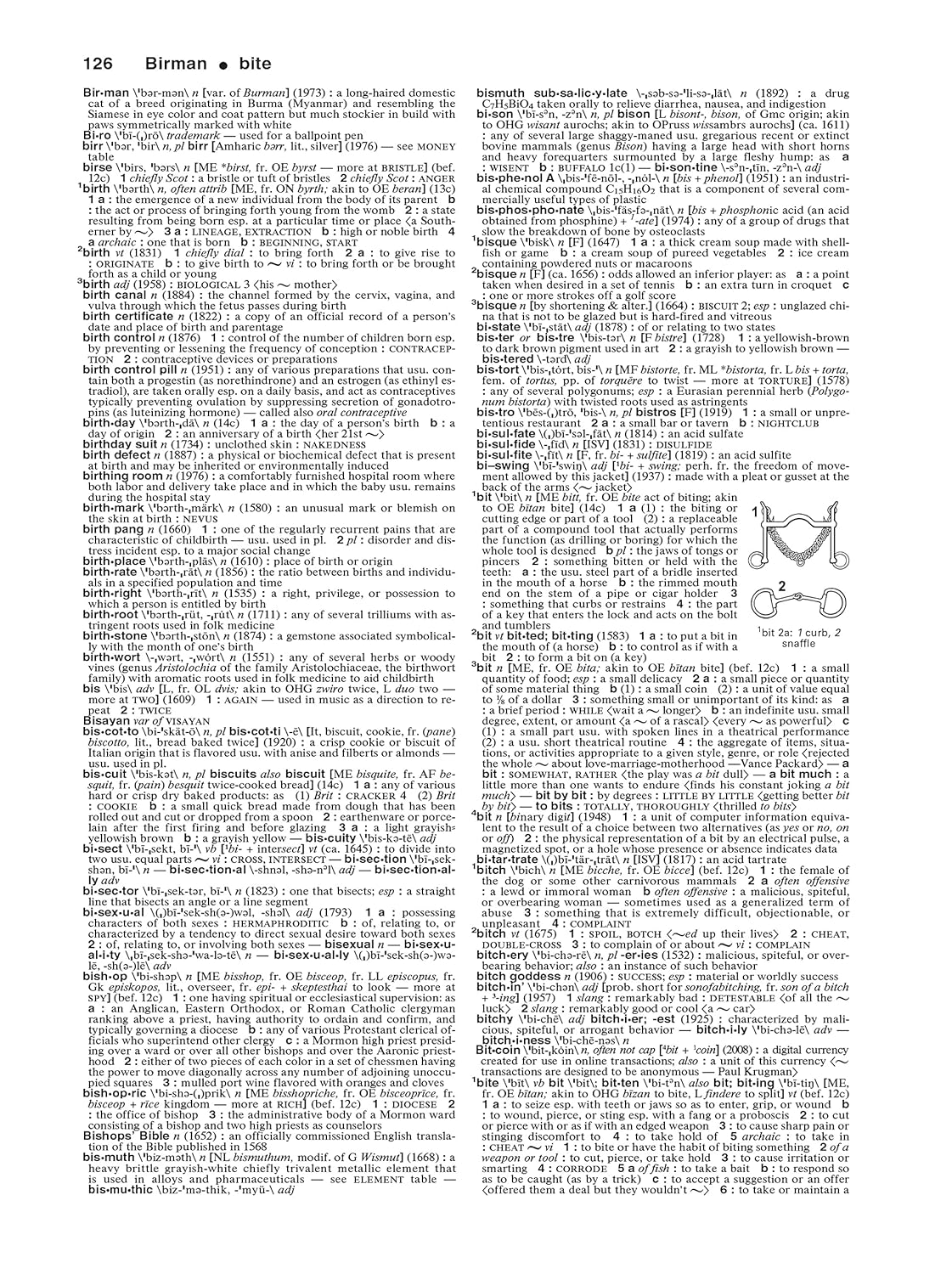 Merriam-Webster'S Collegiate Dictionary, 11Th Edition, Jacketed Hardcover, Indexed: Revised and Updated image number 5