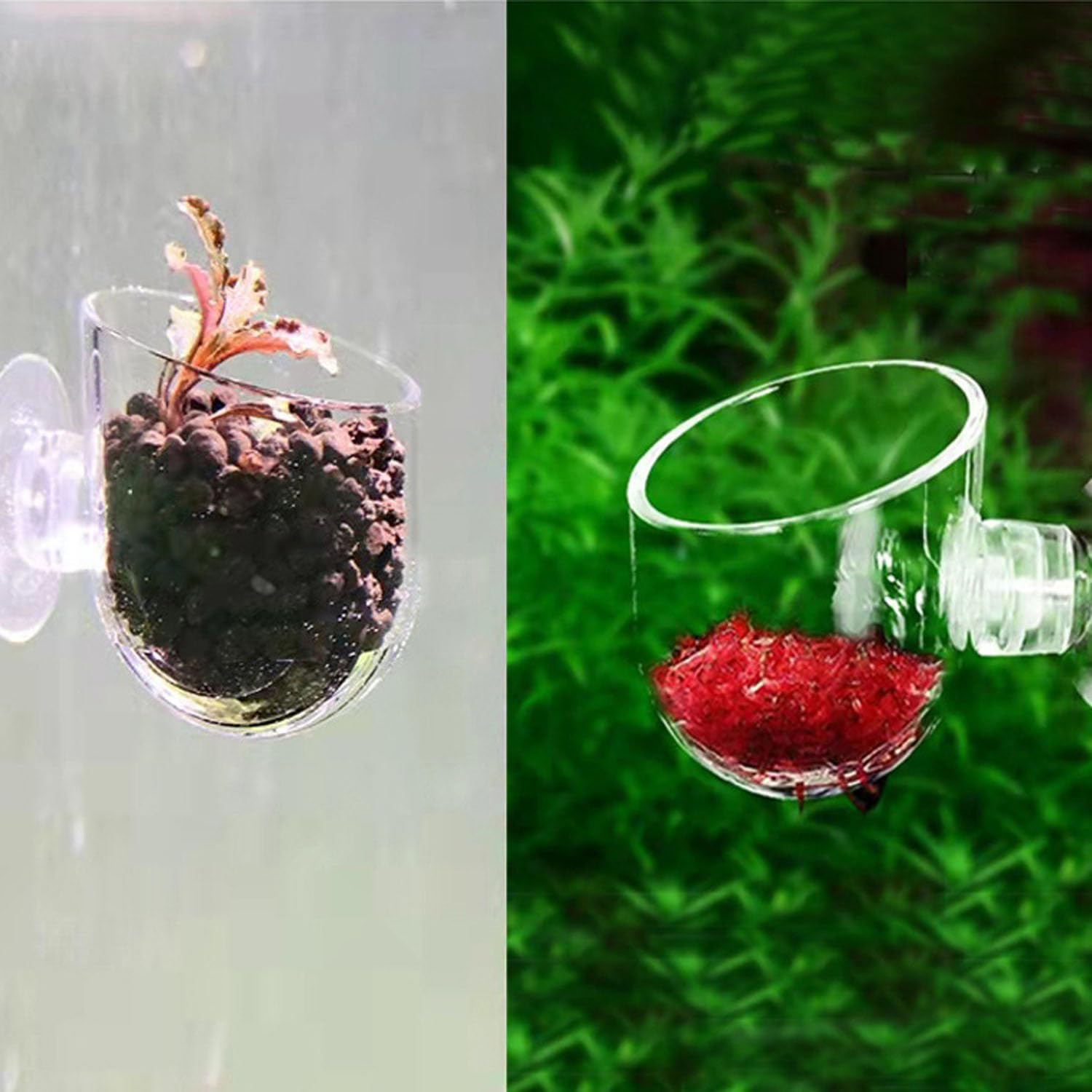 6PCS Fish Tank Aquatic Red Worm Feeder, Acrylic Aquarium Fish Feeder Holder with 6 Suction Cups, Aquarium Clear Acrylic Shelf,Plant Holder for Aquarium Fish Feeding Cups Fish Food Container image number 2